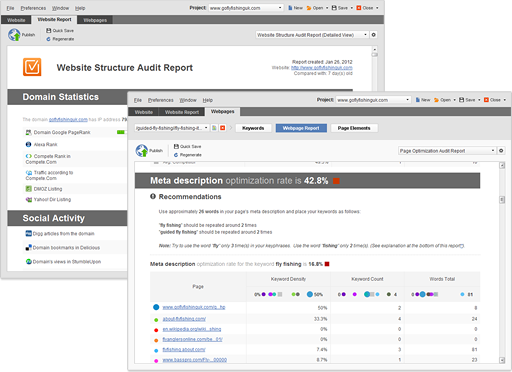 Astutium SEO Service - Website Structure Audit Screenshot